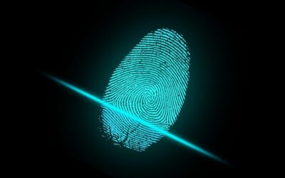 IDENTIFICATION DATA: LEGAL MECHANISMS FOR CLASSIFIER DEVELOPMENT