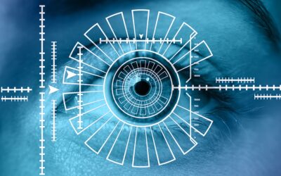IDENTIFICATION DATA: LEGAL MECHANISMS FOR CLASSIFIER DEVELOPMENT