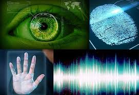 IDENTIFICATION DATA MANAGEMENT: LEGAL REGULATION AND CLASSIFICATION